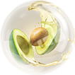 avacado.png
