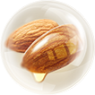 almond.png
